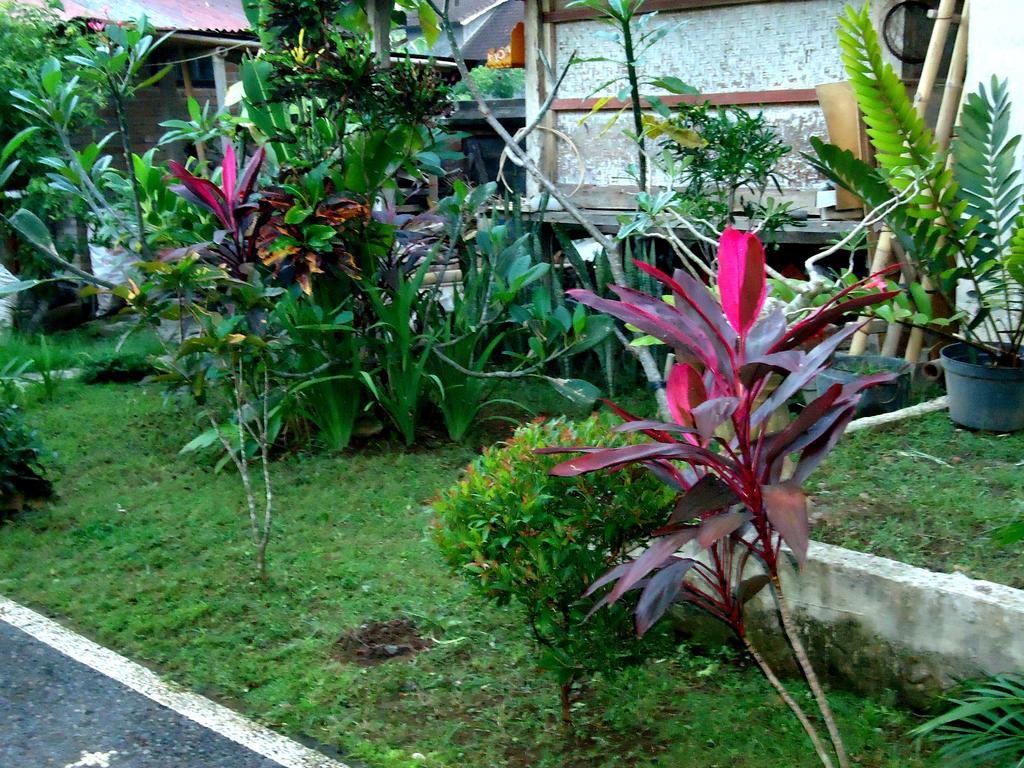 Dewa Put Guest House Ubud Exteriér fotografie