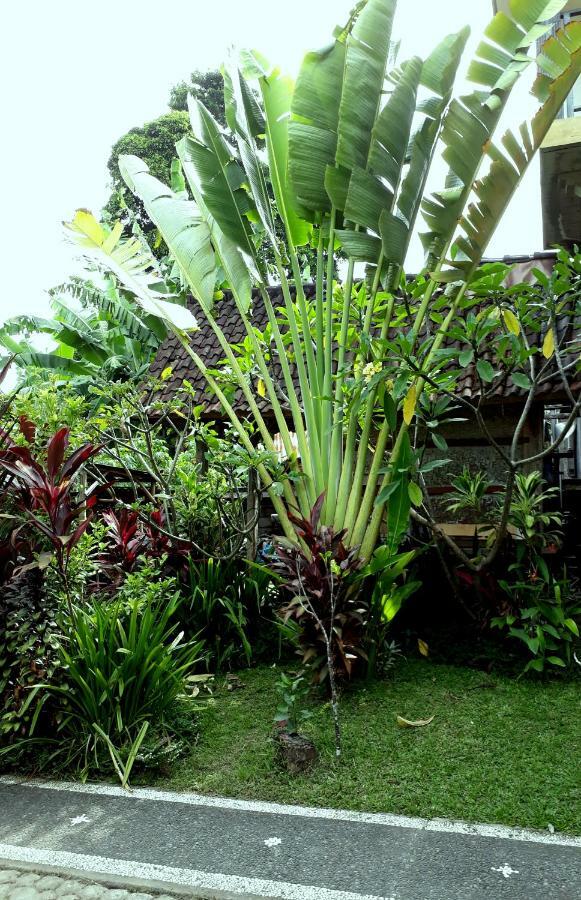 Dewa Put Guest House Ubud Exteriér fotografie